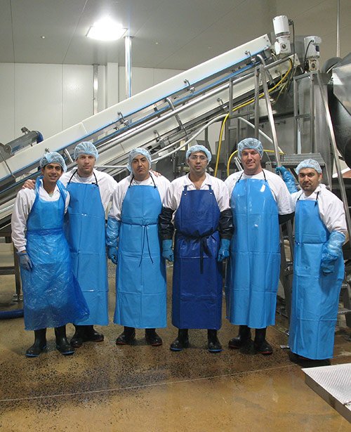 Food Manufacturing Cleaners