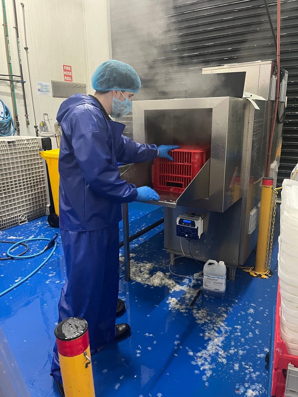 Fish Factory Cleaning