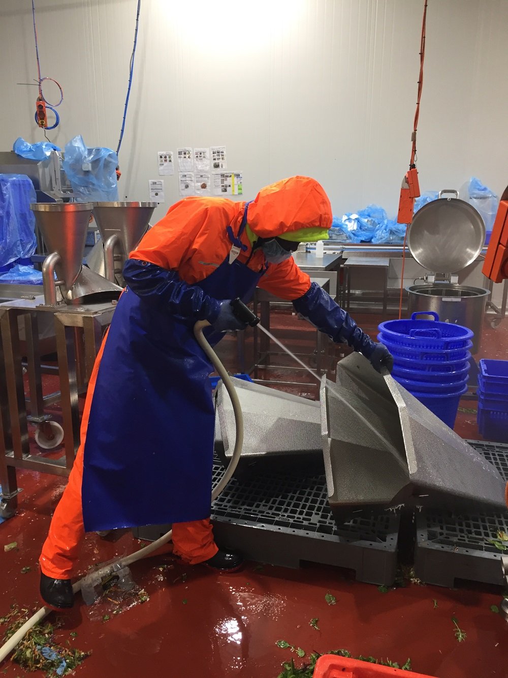 Salad Factory Cleaning Services in Sydney